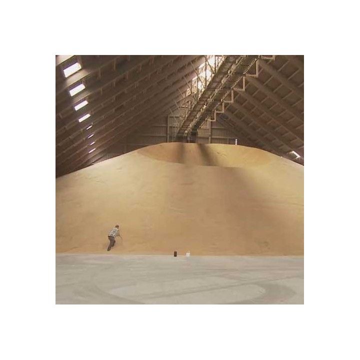 Prise d'échantillon de céréale