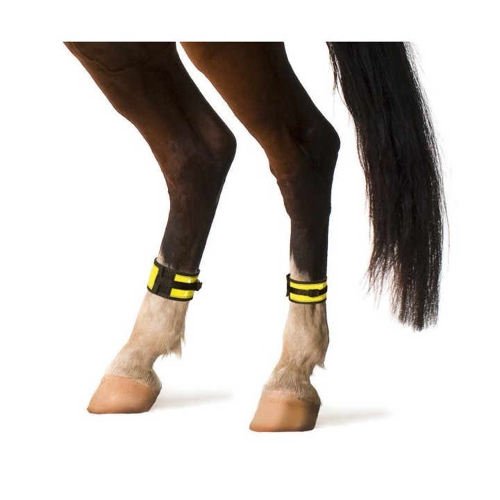 Paire de guêtre équitation réfléchissante jaune