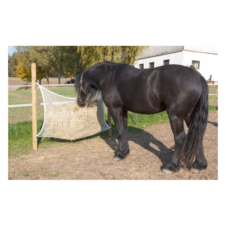 Filet à foin alimentation adaptée maille de 3 X 3 cm cheval