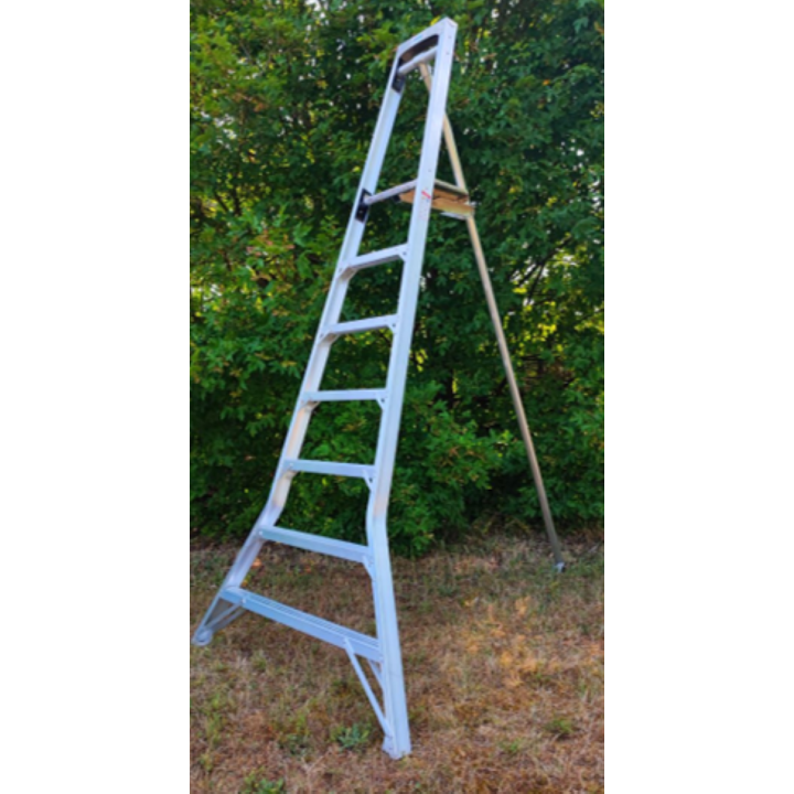 Echelle plateforme fruitière tripode arboriculture FEE 7 niveaux