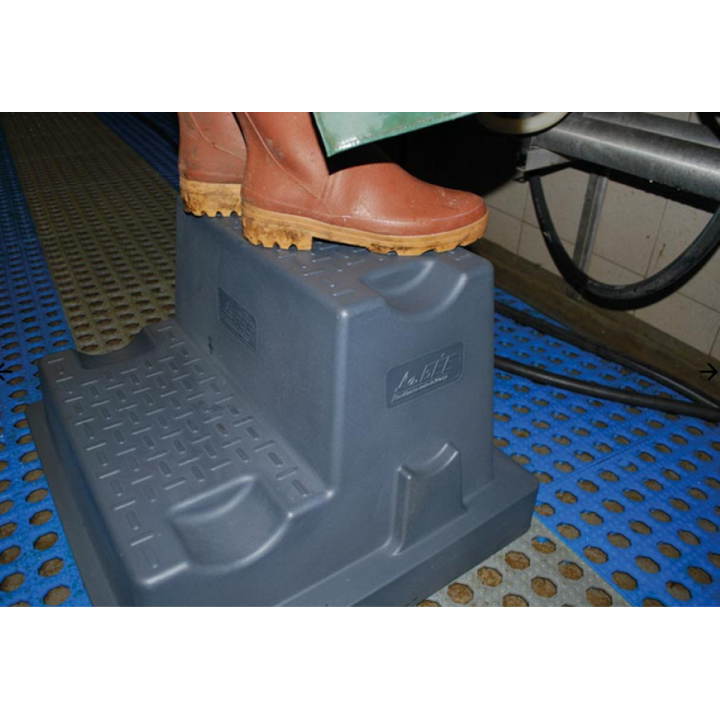 Marche pied mobile 2 marches milieu humide et élevage LA GEE