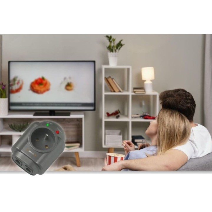 Parasurtenseur parafoudre Lan internet protection électrique INFOSEC dans la maison