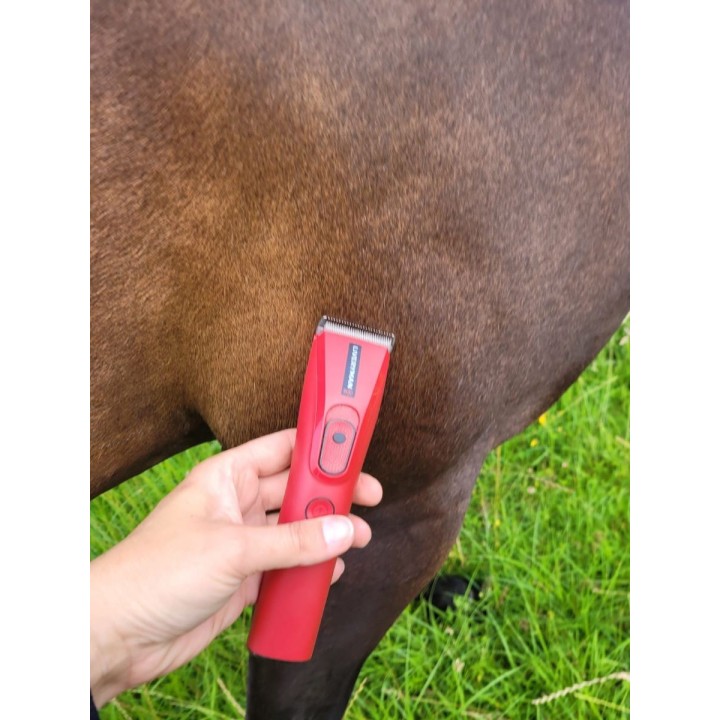 Tondeuse NOVA chevaux spécial finition concours LIVERYMAN