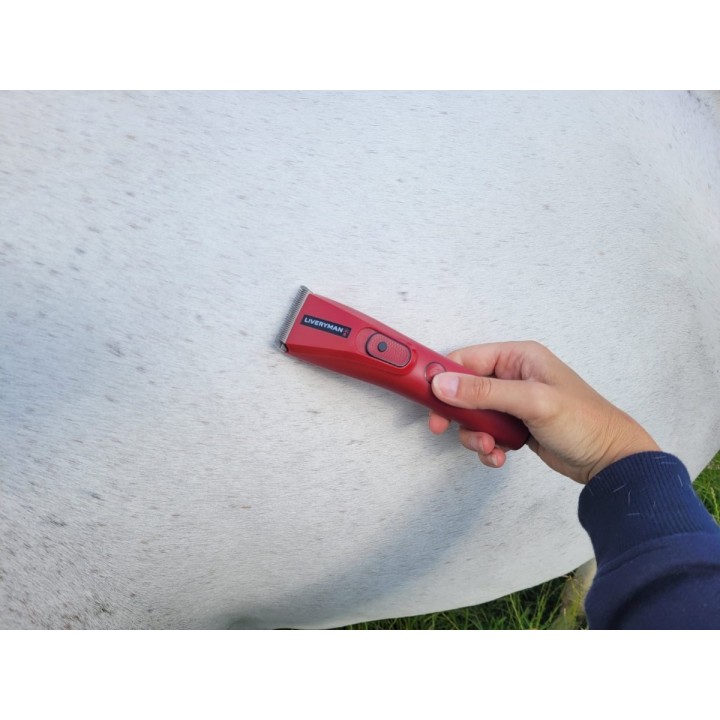 Tondeuse NOVA chevaux spécial finition concours LIVERYMAN