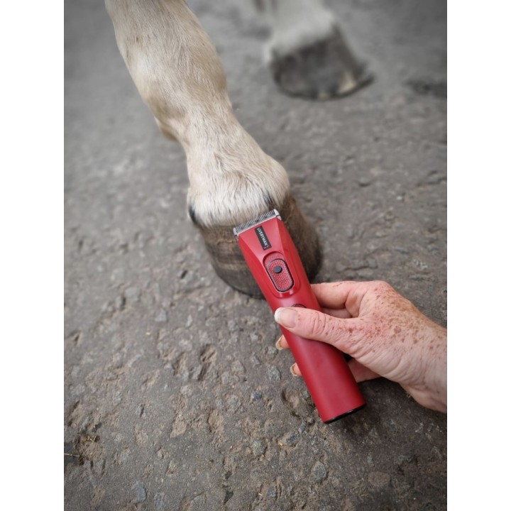 Tondeuse NOVA chevaux spécial finition patteLIVERYMAN