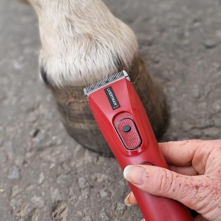Tondeuse SLIK ART spécial vétérinaire