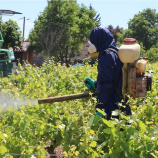 Traitement avec la Combinaison imper respirante phytosanitaire lavable POLYAGRI