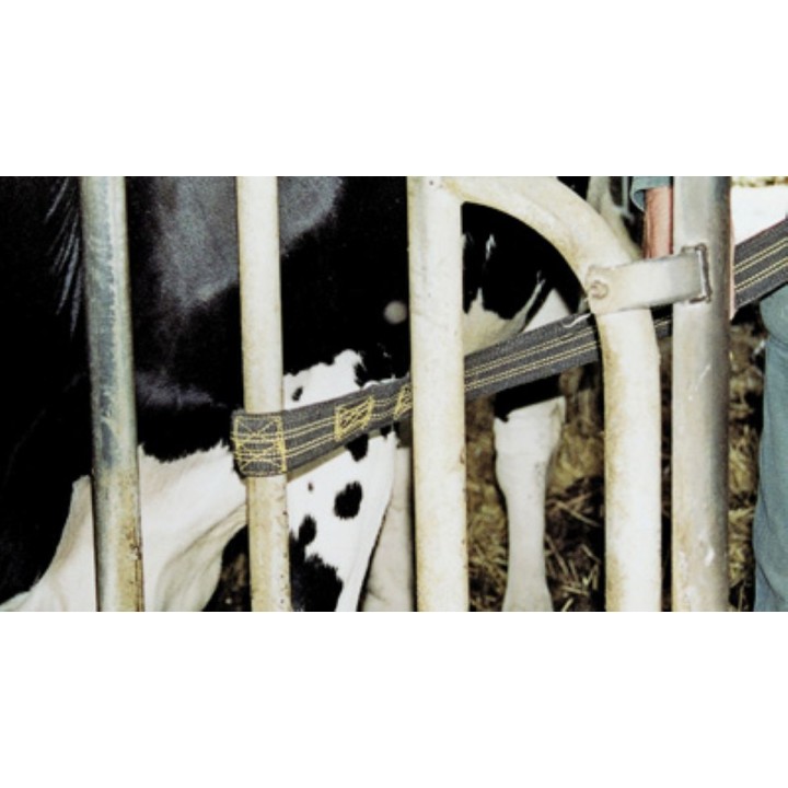 anti coup-de-pied sangle SECURITEX manutention bovin