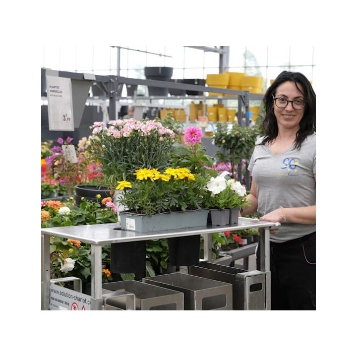 Chariot de travail ergonomique JASMIN pépinière