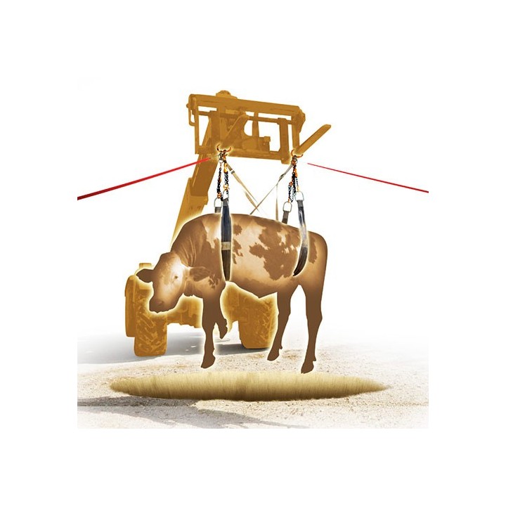 sangles de levage pour animaux 2tonnes