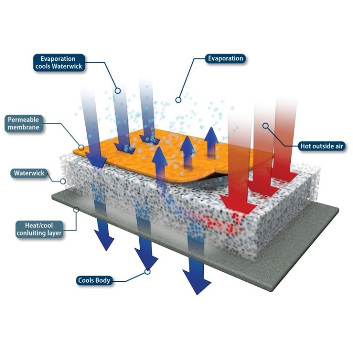 Gilet rafraîchissant SIKU sans recharge INUTEQ I Sécurama