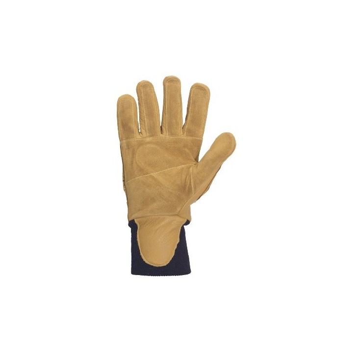 Gants forestier épineux BERBERIS 3234 Solidur