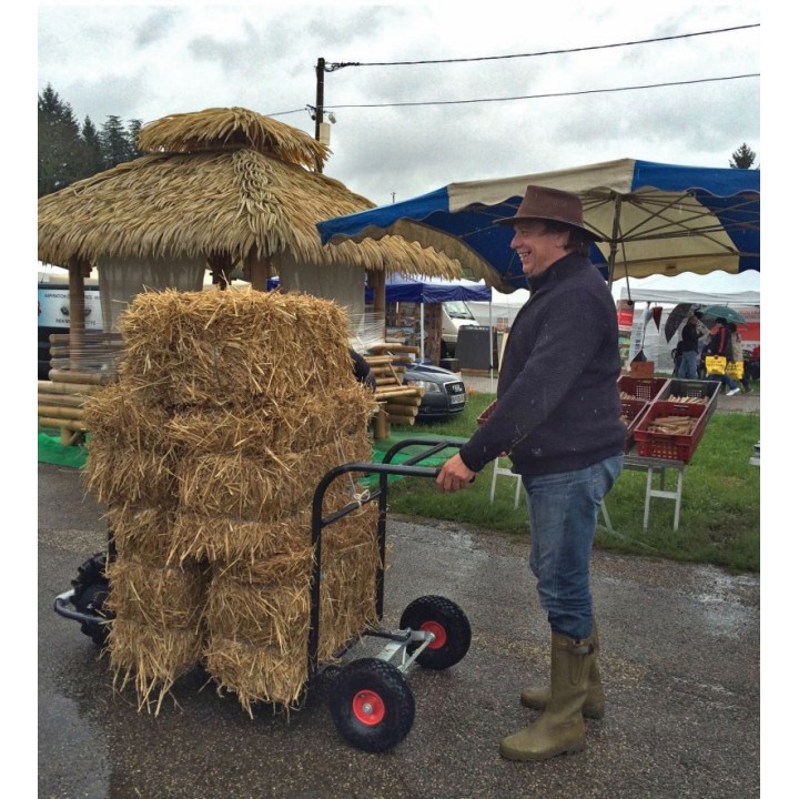 Chariot électrique TRANSPORTEUR SIMPLE ZOETTE transport matériaux