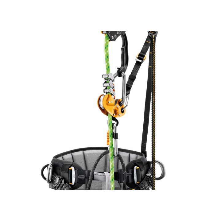 Harnais cuissard SEQUOIA SRT élagage PETZL I Sécurama